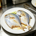 Fresh Whole Silver Pomfret Fish